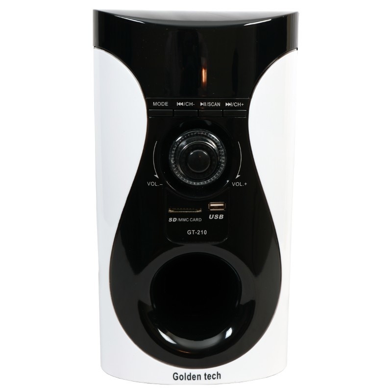 GoldenTech GT-210 Multimedia Speaker System 2.1 USB SD Card Reader Bluetooth and FM Radio Woofer black 10000w GT-210 2